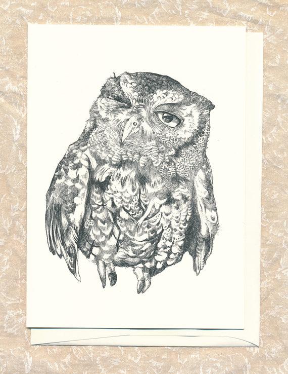 570x738 Screech Owl Greeting Card By Hilary Ann Love Glass - Screech Owl Sketch