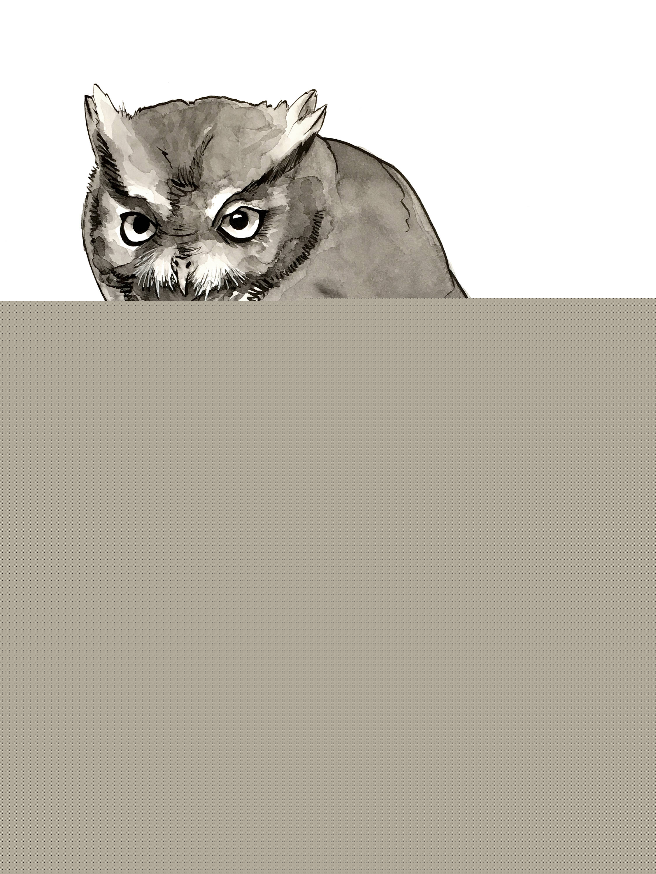 2250x3000 Screech Owl Ink Drawing Owl Painting Bird Raptor Artwork Etsy - Screech Owl Sketch