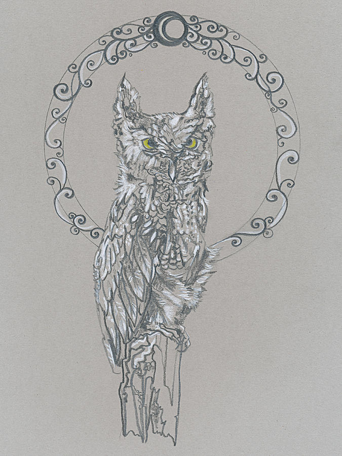 675x900 Screech Owl Nouveau Drawing By Katherine Nutt - Screech Owl Sketch