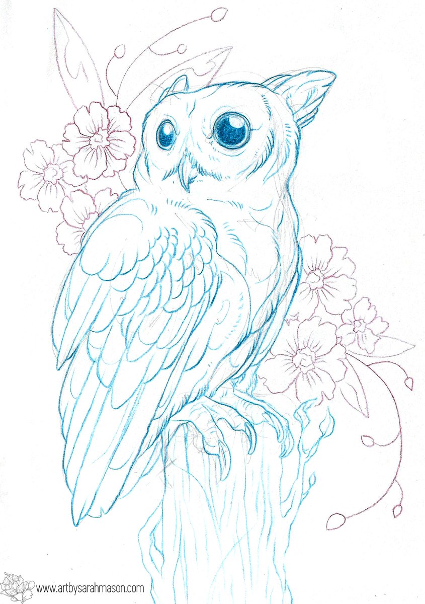 845x1200 On Twitter Screech Owl Sketch - Screech Owl Sketch