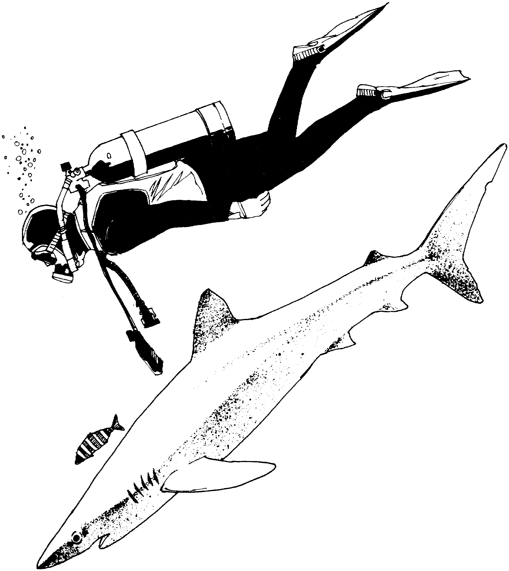 Scuba Diver Sketch at Explore collection of Scuba