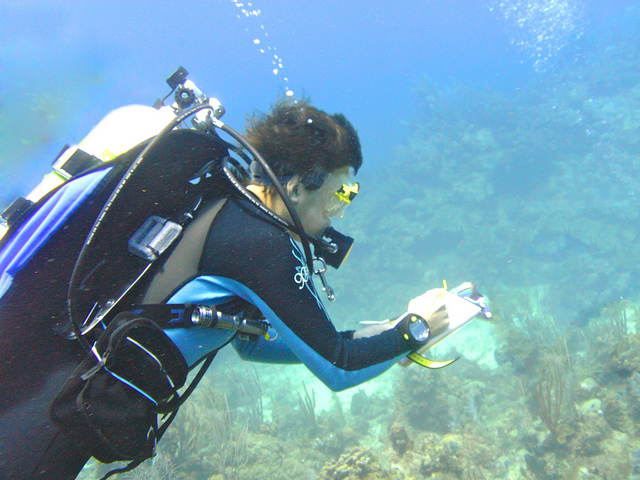 640x480 Scuba Diving With A Sketchbook Urban Sketchers - Scuba Diver Sketch