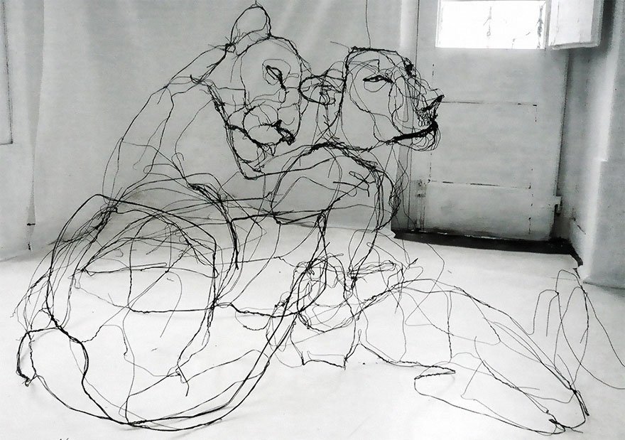 880x619 Portuguese Artist Makes Wire Animal Sculptures That Look Just Like - Sculpture Sketch