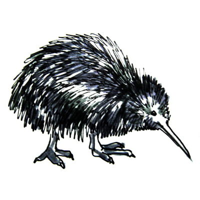 400x400 How To Draw A Sea Anemone - Sea Anemone Sketch