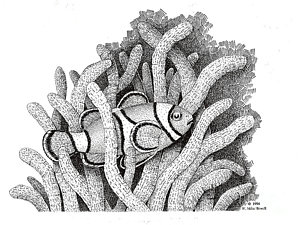 300x225 Sea Anemone Drawings Fine Art America - Sea Anemone Sketch