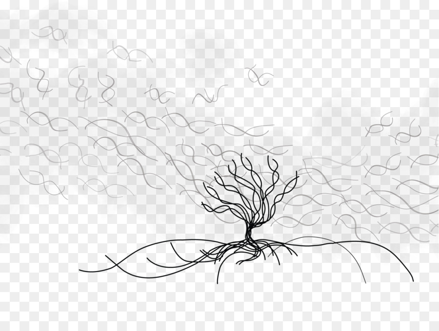 900x680 Sketch Visual Arts Illustration Line Art Plant Stem - Sea Anemone Sketch