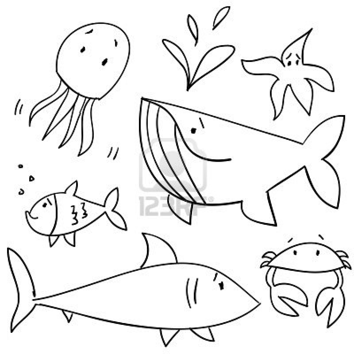 1200x1200 Draw Easy Water Animal Sea Animal Drawing At Getdrawings Free - Sea Animal Sketches