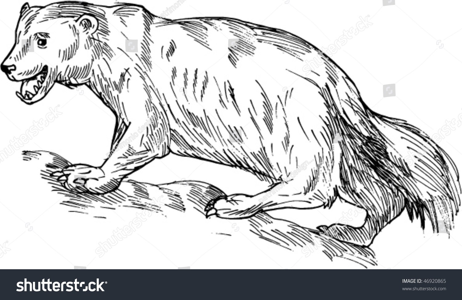 1500x975 Easy To Draw Sea Animals - Sea Animal Sketches