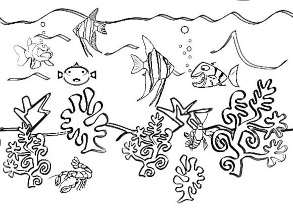 580x420 Collection Of Ocean Creatures Drawing High Quality, Free - Sea Animal Sketches