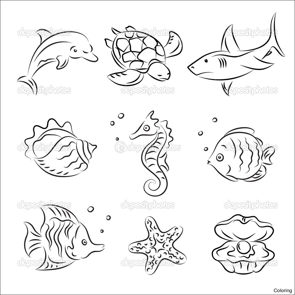 1024x1024 Sea Animal Drawing Sea Animal Drawing At Getdrawings Free For - Sea Animal Sketches