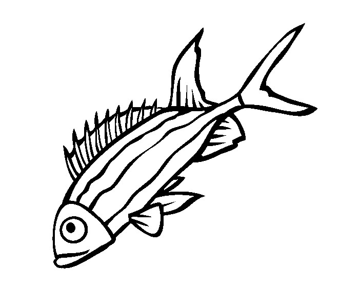 700x564 Sea Creature Templates - Sea Animal Sketches