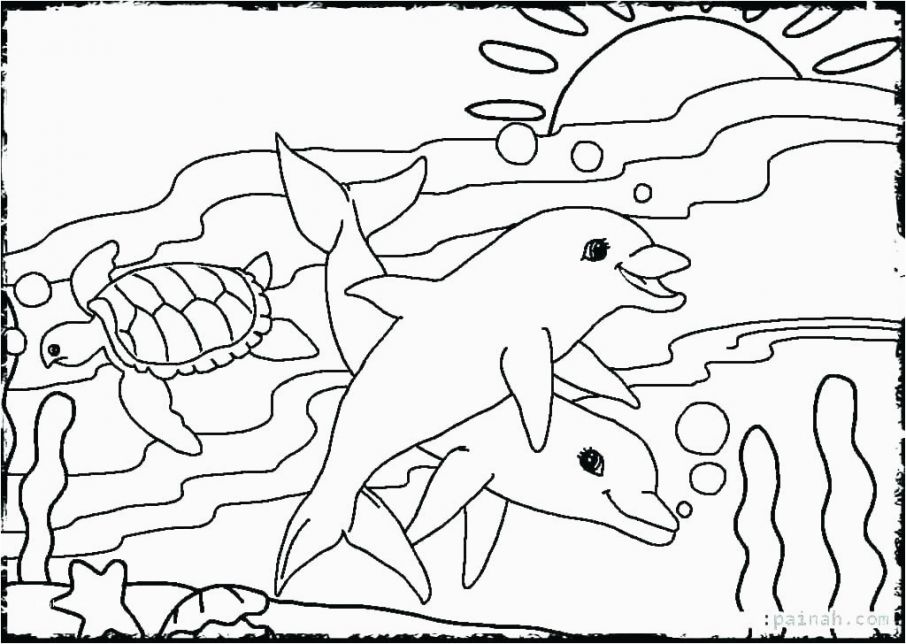 906x644 Sea Creatures Coloring Pages Astounding Funny Face Templates - Sea Animal Sketches