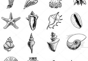 300x210 Sketch Of Ocean Animals Happy Octopus - Sea Animal Sketches