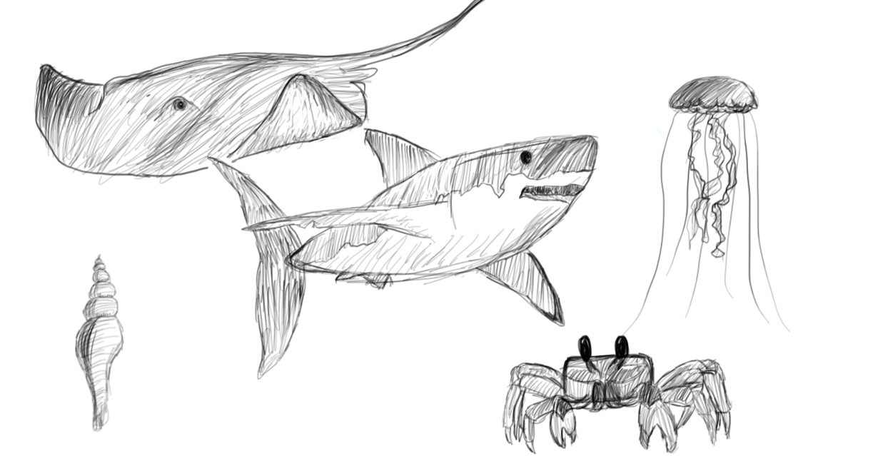 1251x639 Sketches Of Sea Animals Sea Animal Sketches By Passionatepencils - Sea Animal Sketches