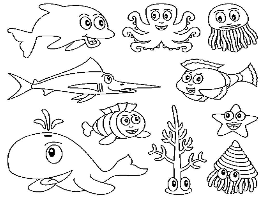 1024x768 Ocean Animal Color Pages - Sea Animal Sketches