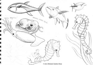 300x210 Drawing Ocean Animals Dolphin - Sea Creature Sketch