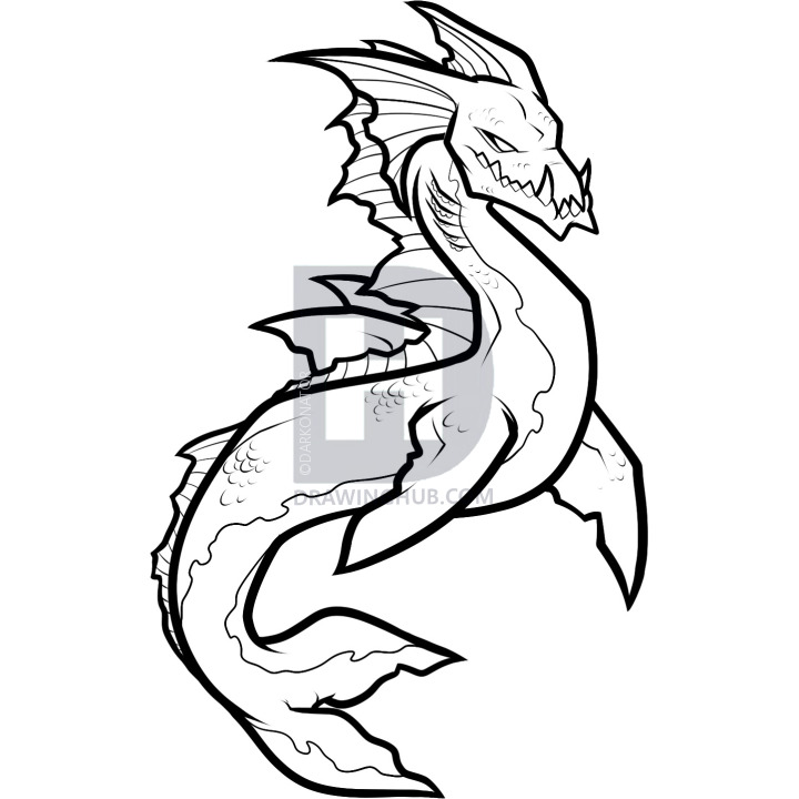 720x720 How To Draw A Sea Creature, Sea Creature, Step By Step, Drawing - Sea Creature Sketch