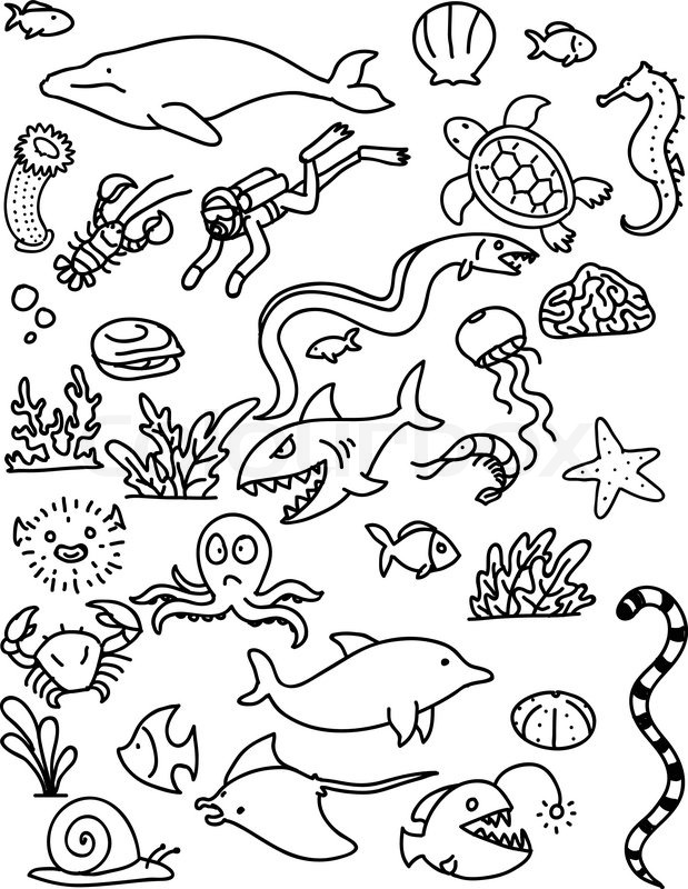 619x800 Sea Creature Doodle Background. Vector Illustration. Each Element - Sea Creature Sketch