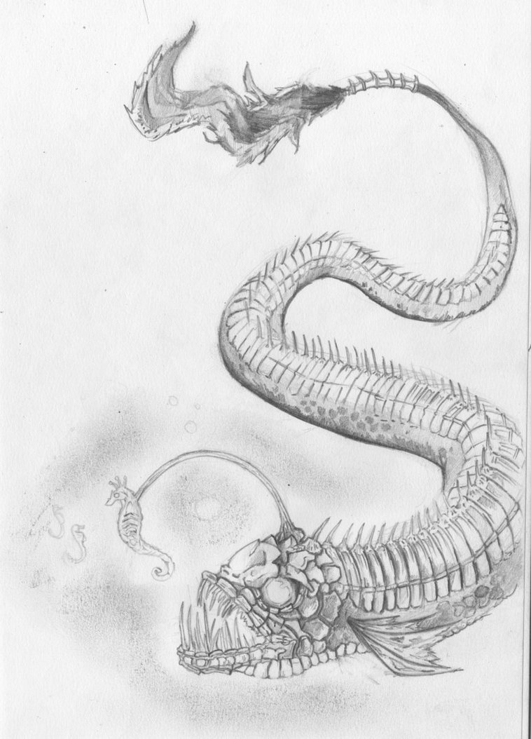 758x1054 Deep Sea Creature By Zmbmnky - Sea Creature Sketch