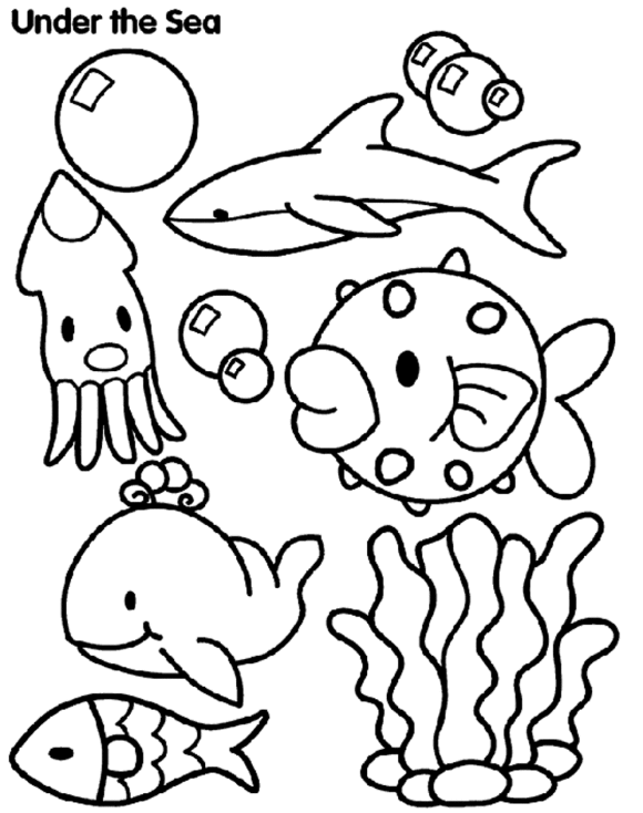 580x734 Under The Sea Animal Sketches Animals , Cartoon Ocean Animal - Sea Creature Sketch