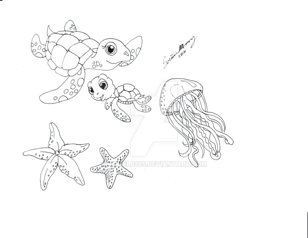1017x786 Laura Sketches - Sea Life Sketches