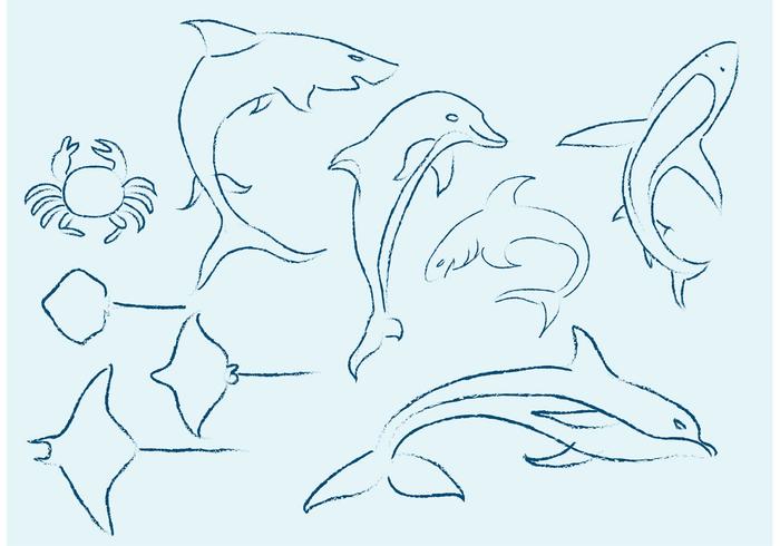 700x490 Sea Life Sketches - Sea Life Sketches
