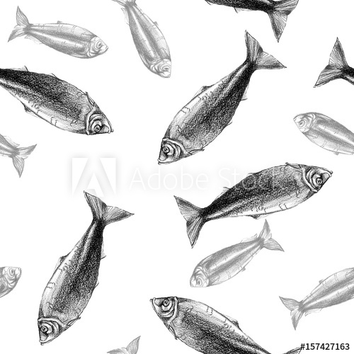 500x500 Watercolor Drawing Seamless Pattern With Fish, Herring On White - Sea Life Sketches
