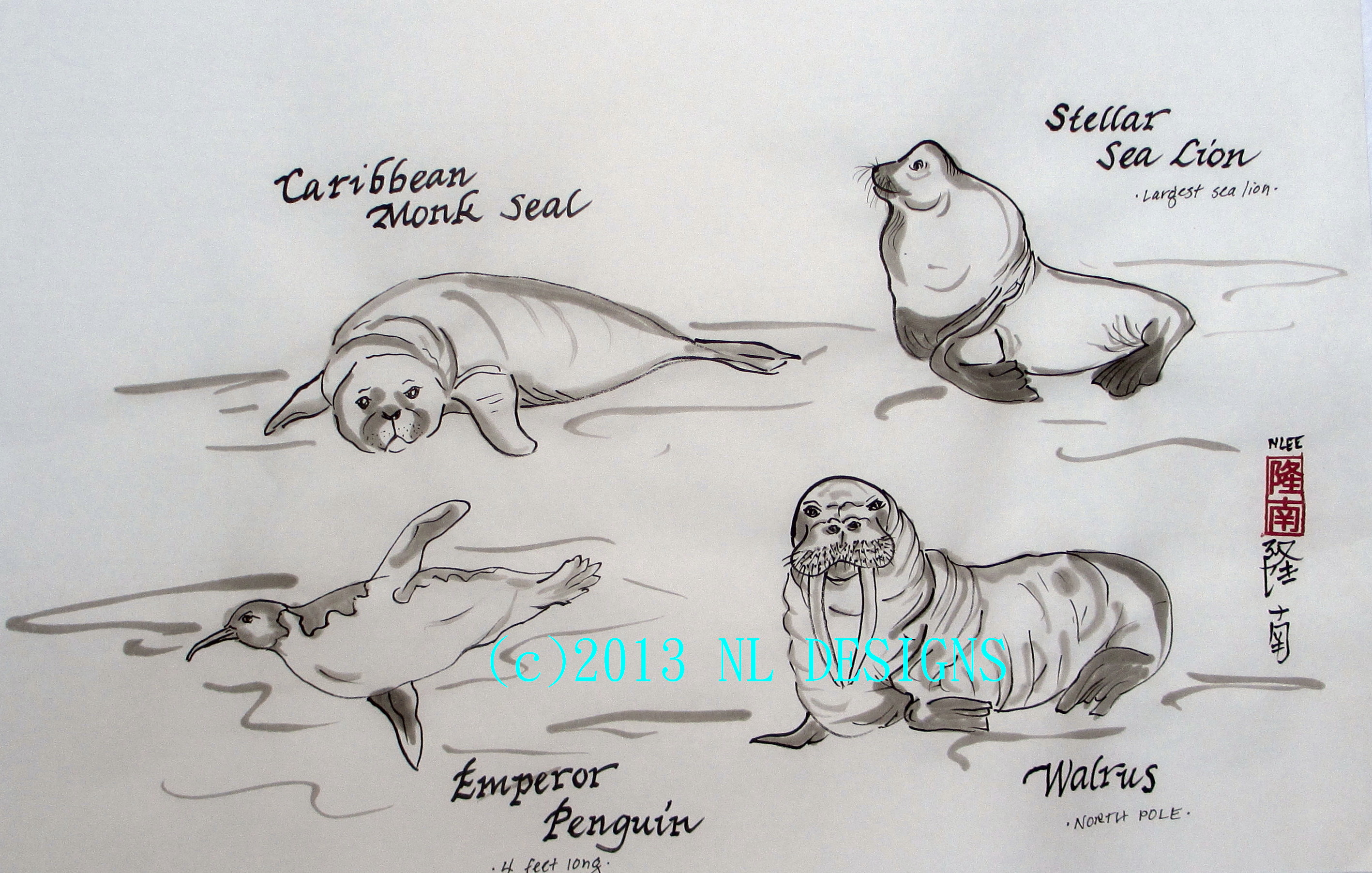 2835x1804 Whales Amp Marine Life Sketches 10 2013 4 Watermark - Sea Life Sketches