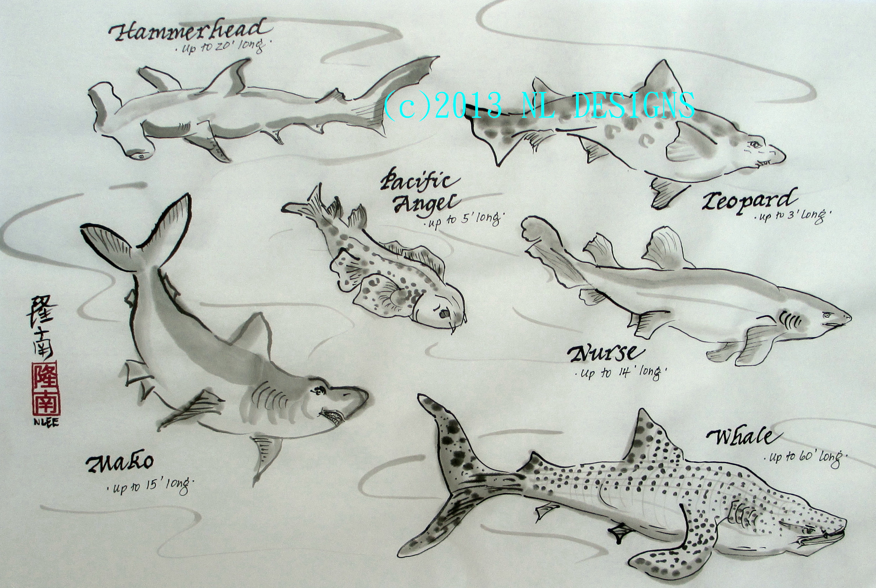 3010x2021 Whales Amp Marine Life Sketches 10 2013 8 Watermark - Sea Life Sketches