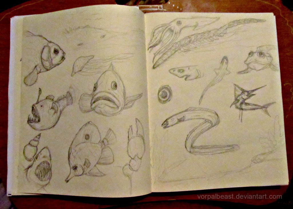 1024x731 Fish And Sea Life Sketches By Vorpalbeasta - Sea Life Sketches