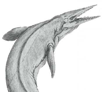 350x318 The Pulteney St. Survey - Sea Monster Sketch