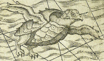 350x207 Book Review Sea Monsters On Medieval And Renaissance Maps - Sea Monster Sketch