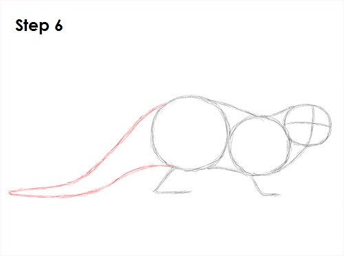 500x372 How To Draw An Otter - Sea Otter Sketch