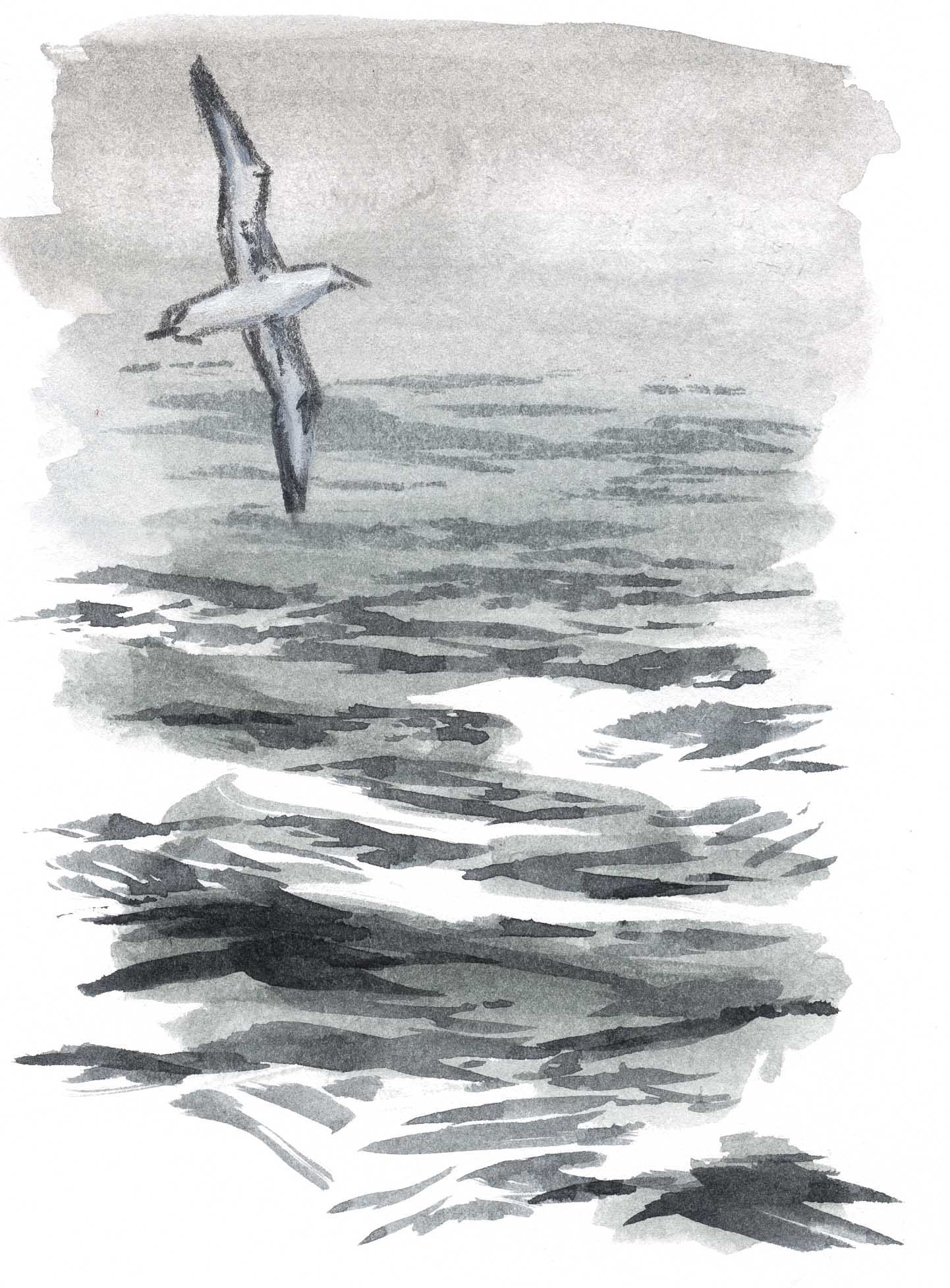 1442x1954 How To Draw Water Open Ocean - Sea Sketch