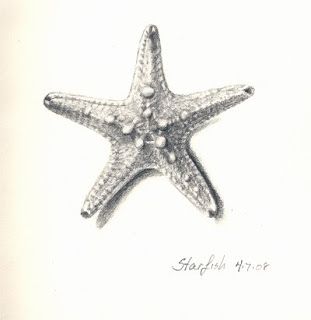311x320 Sea Star Sketch Images - Sea Star Sketch
