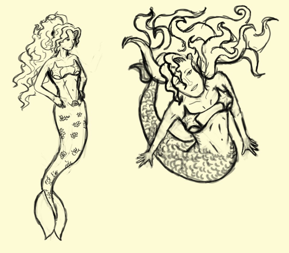 955x837 Sea Star Sketch By Daniel Dangelo - Sea Star Sketch