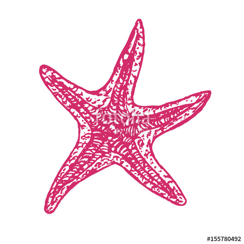 500x500 Sea Star Isolated, Hand Drawn Doodle Sketch In Pop Art Style - Sea Star Sketch