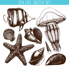 240x240 Vector Set With Hand Drawn Small Fish, Sea Star, Jellyfish And Sea - Sea Star Sketch