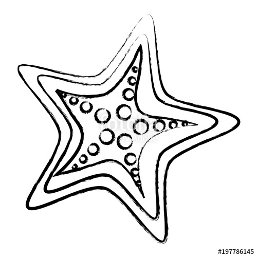 500x500 Sketch Of Sea Star Icon Over White Background, Vector Illustration - Sea Star Sketch