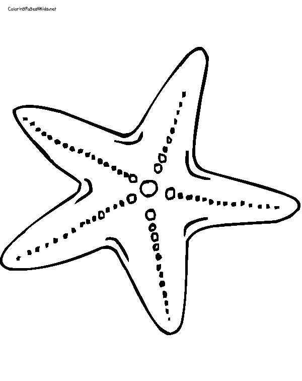 600x756 Best Photos Of Free Printable Pictures Of Starfish - Sea Star Sketch