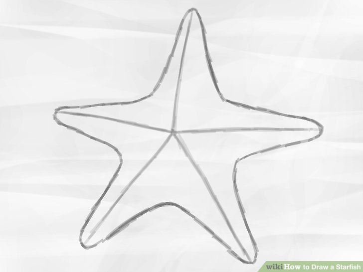 728x546 How To Draw A Starfish 6 Steps (With Pictures) - Sea Star Sketch