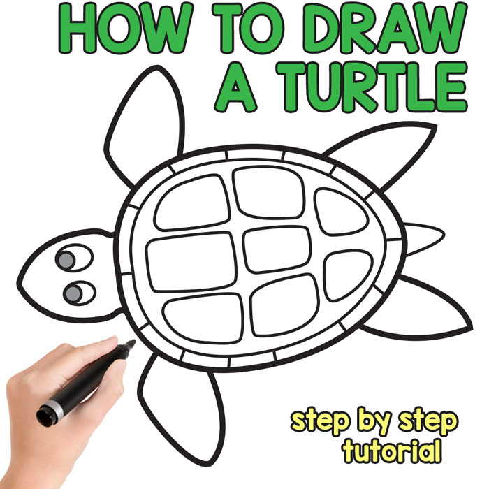 700x700 How To Draw A Turtle - Sea Turtle Sketch