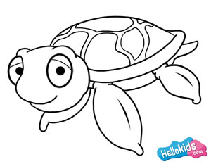 300x233 How To Draw How To Draw A Sea Turtle - Sea Turtle Sketch