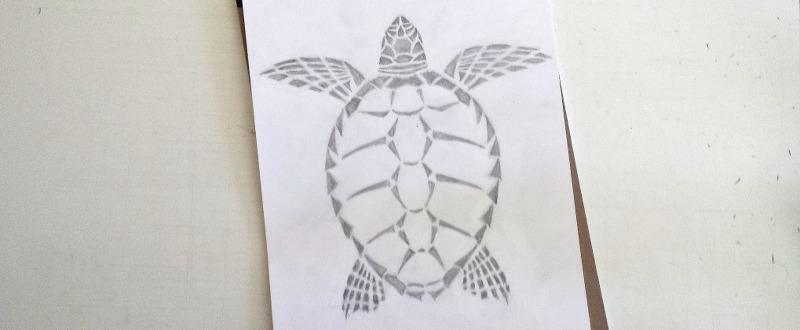 800x330 How I Made A Sea Turtle Design - Sea Turtle Sketch