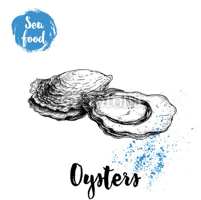 400x398 Hand Drawn Oysters Composition. Seafood Sketch Style Illustration - Seafood Sketch