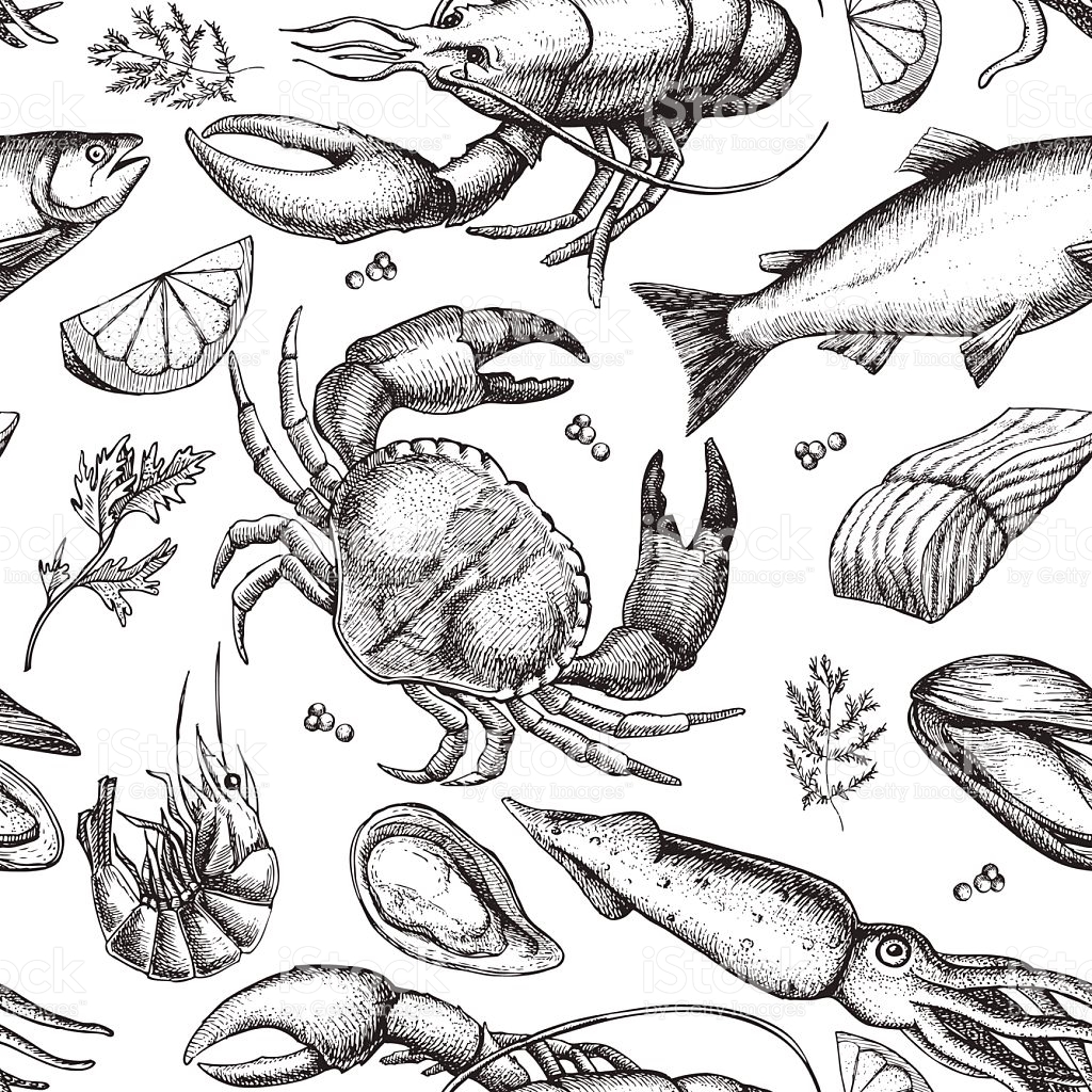 1024x1024 Seafood Clipart Vintage - Seafood Sketch