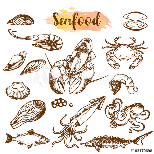500x500 Seafood Sketch Set. Fish, Shrimp, Crab, Lobster, Octopus, Mollusks - Seafood Sketch