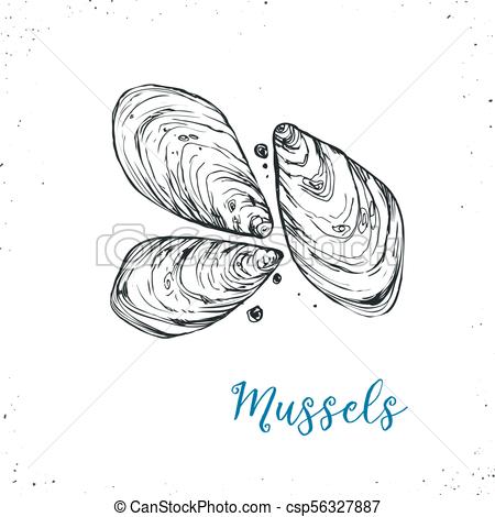 450x470 Seafood Vector Illustration. Seafood Sketch Icon Isolated On White - Seafood Sketch
