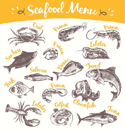 407x423 Set Drawn Seafood Fish Vector Illustration Sketch Premium Clipart - Seafood Sketch