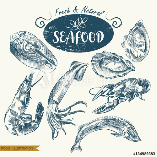 500x500 Set Of Hand Drawn Seafood Isolated On White Background. Seafood - Seafood Sketch